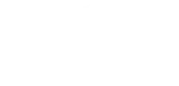 3 (1)